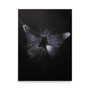 Glass Butterfly | Print